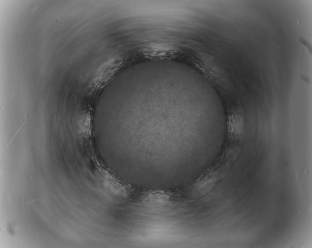 X0000102220820200808011200