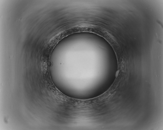 X0000102220821200808011200