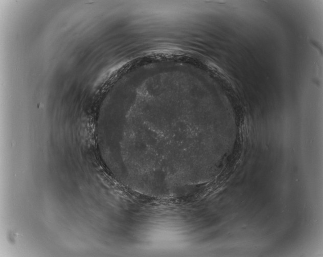 X0000102220822200808011200