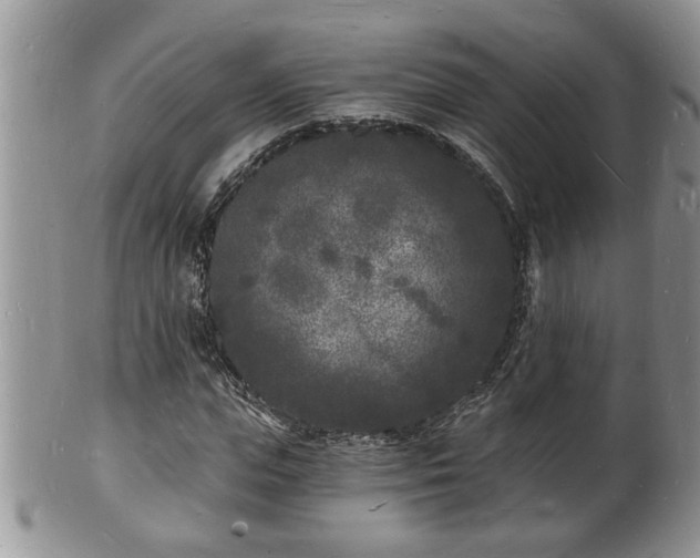 X0000102220823200808011200