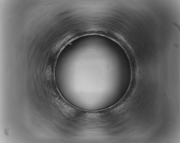 X0000102220825200808011200