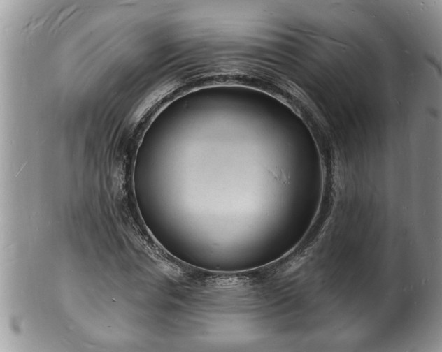 X0000102220826200808011200