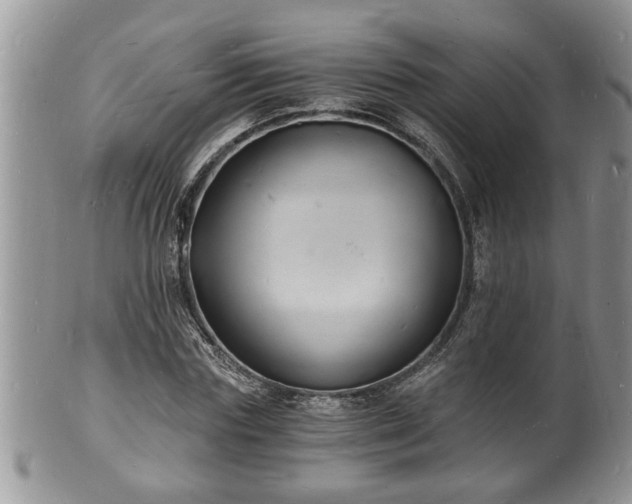 X0000102220827200808011200