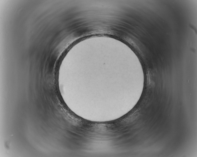 X0000102220828200808011200