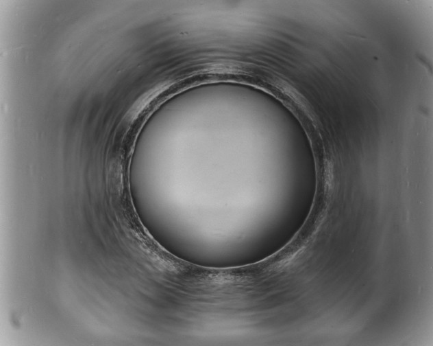 X0000102220829200808011200