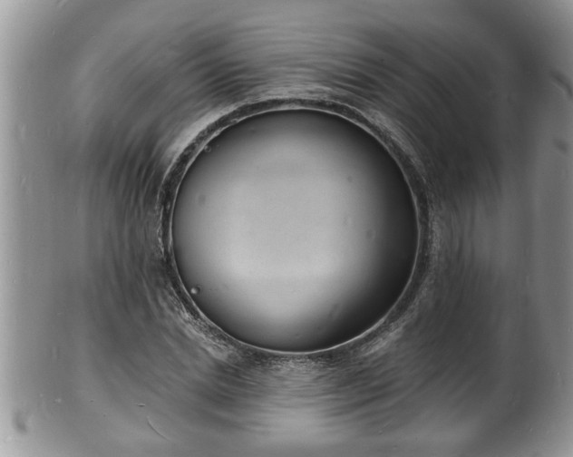 X0000102220830200808011200