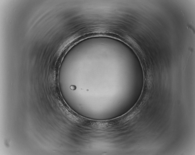 X0000102220831200808011200