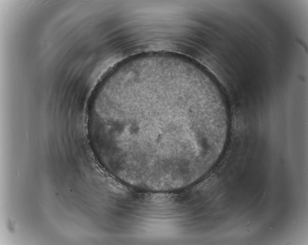 X0000102220832200808011200