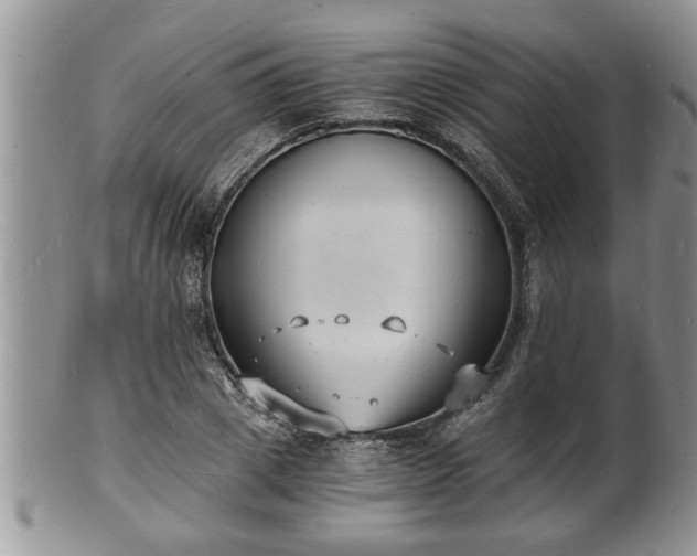 X0000102220833200808011200