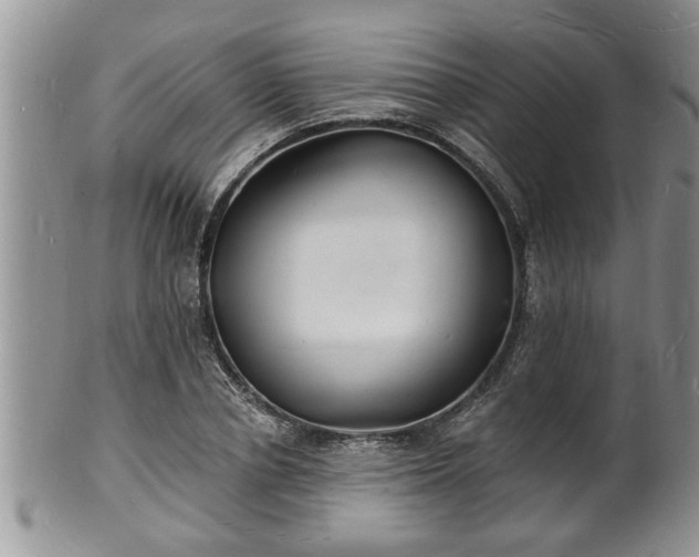 X0000102220834200808011200