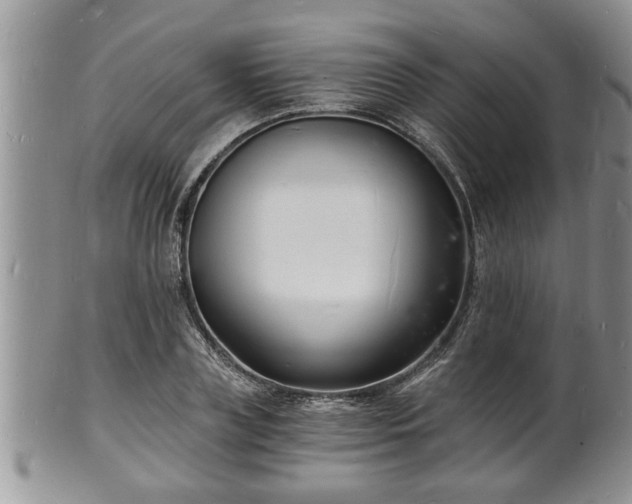 X0000102220835200808011200