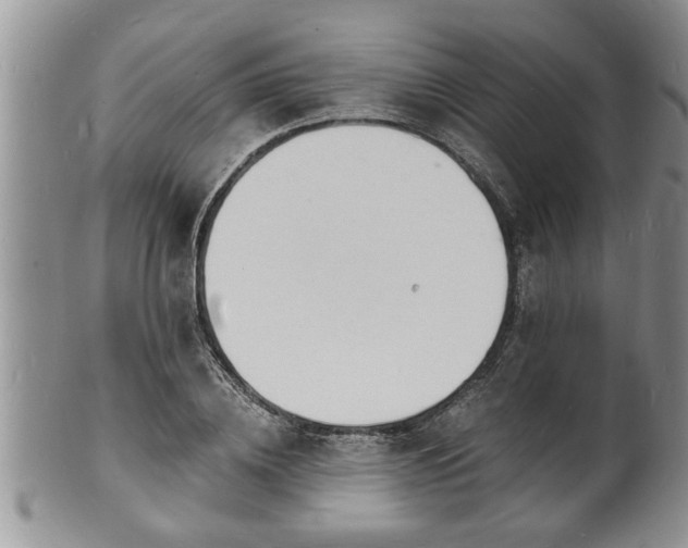 X0000102220836200808011200