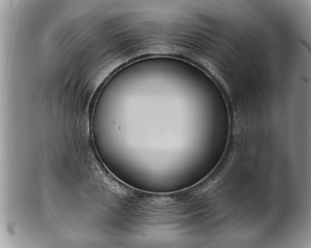 X0000102220837200808011200