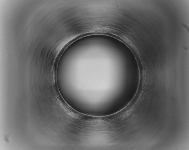 X0000102220838200808011200