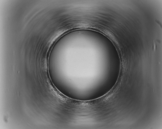 X0000102220839200808011200