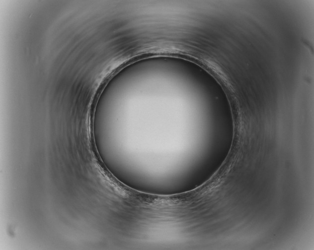 X0000102220840200808011200