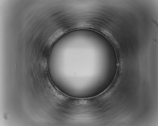 X0000102220841200808011200