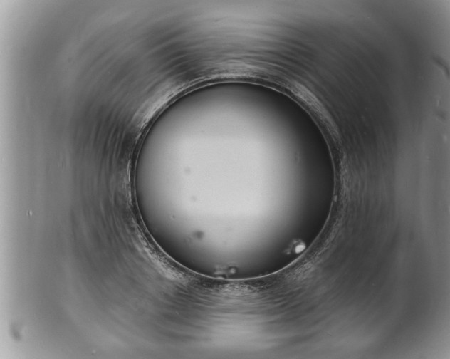 X0000102220842200808011200