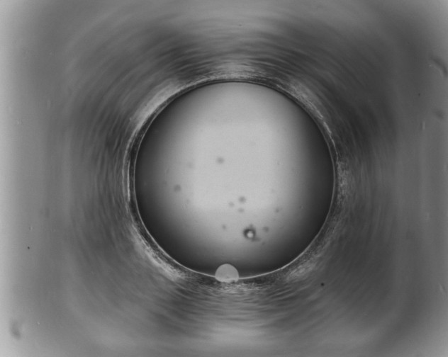 X0000102220843200808011200