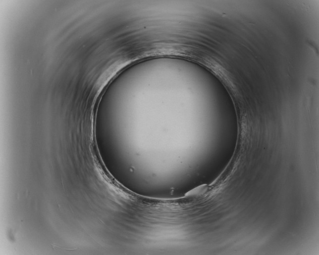 X0000102220844200808011200