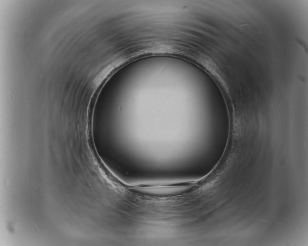 X0000102220845200808011200