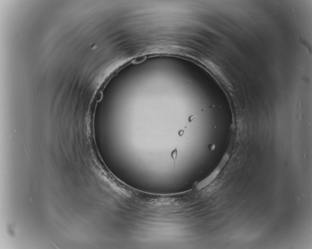 X0000102220846200808011200