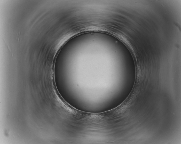 X0000102220847200808011200