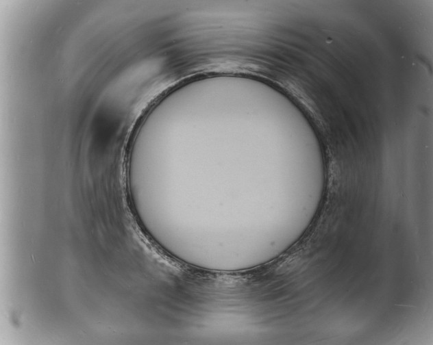 X0000102220848200808011200