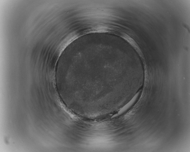 X0000102220850200808011200