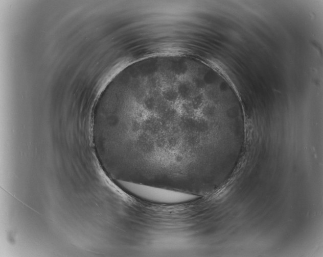 X0000102220851200808011200