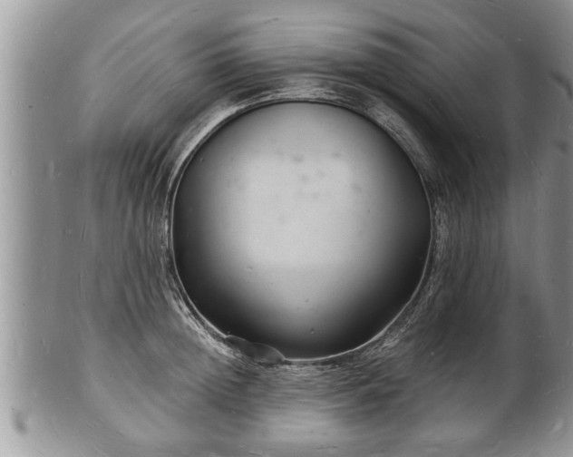 X0000102220852200808011200