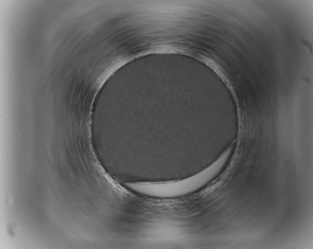 X0000102220853200808011200