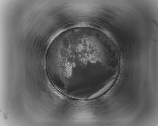 X0000102220854200808011200