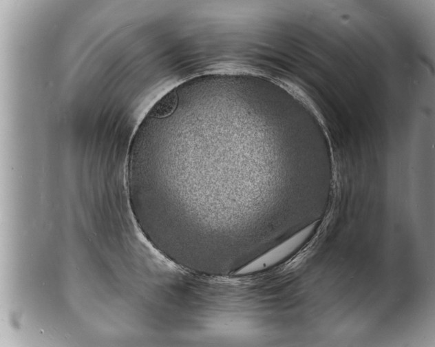 X0000102220855200808011200