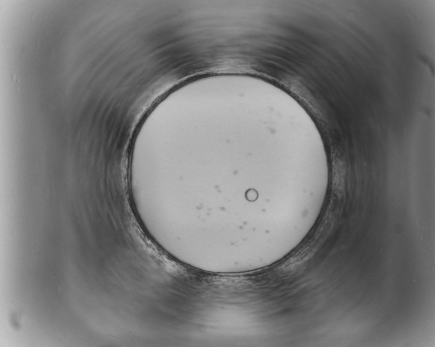 X0000102220856200808011200