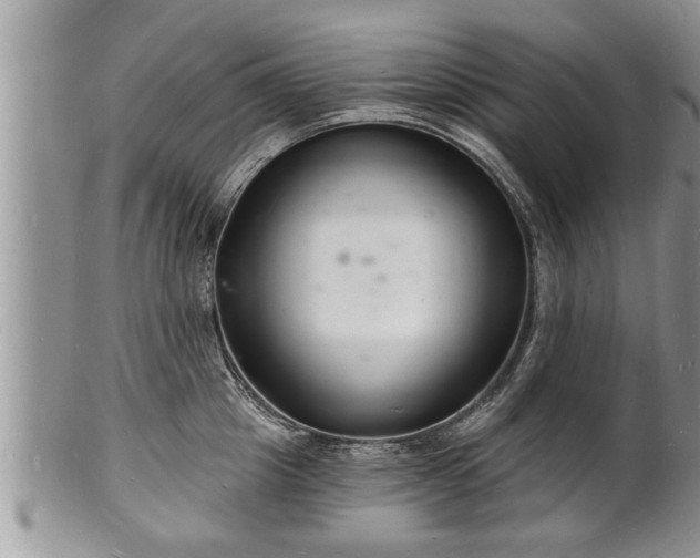 X0000102220857200808011200