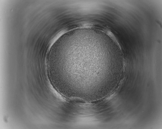 X0000102220859200808011200