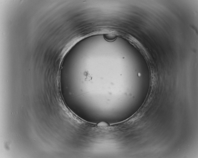 X0000102220860200808011200