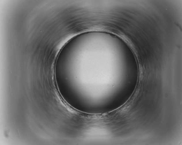 X0000102220862200808011201