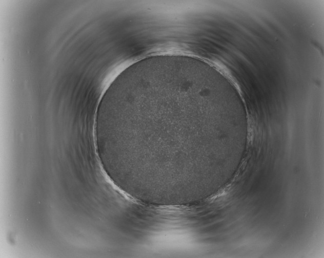 X0000102220863200808011201