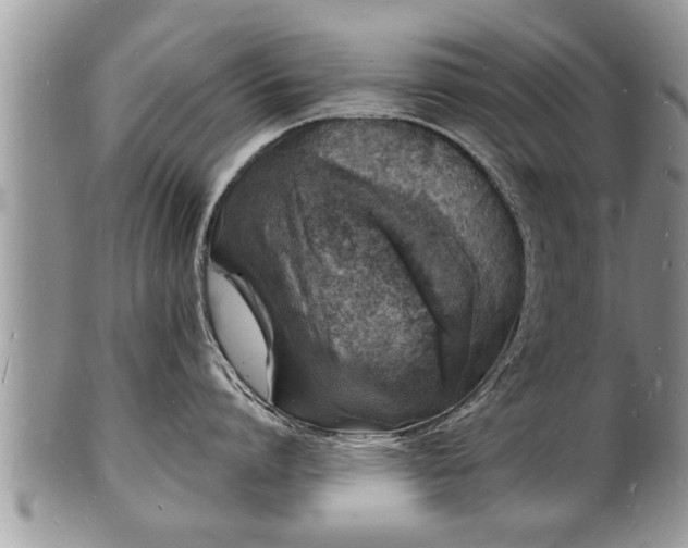 X0000102220864200808011201