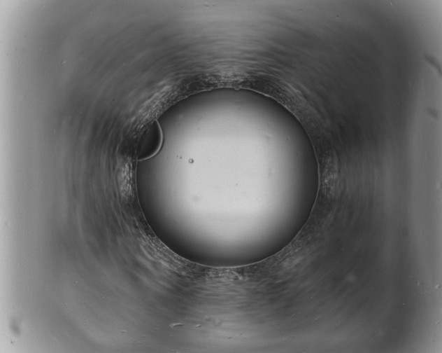 X0000102220866200808011200