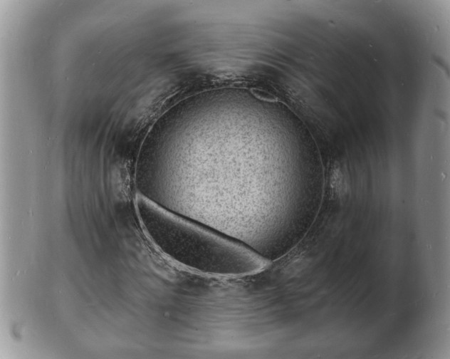 X0000102220868200808011200