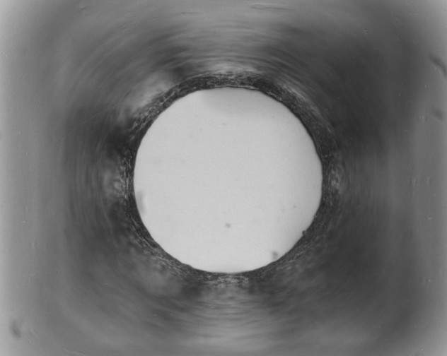 X0000102220869200808011200