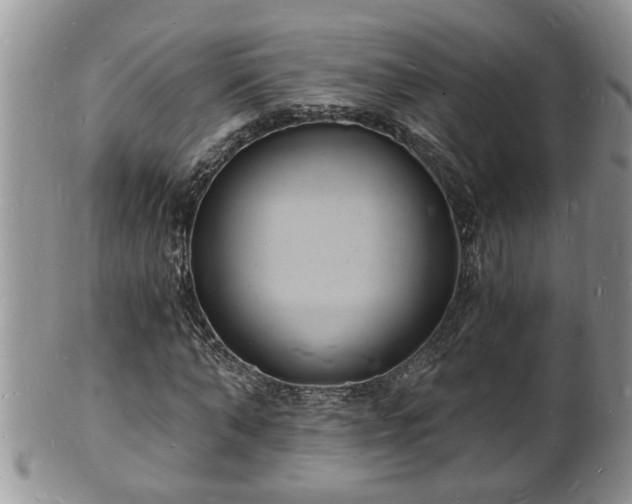 X0000102220870200808011200