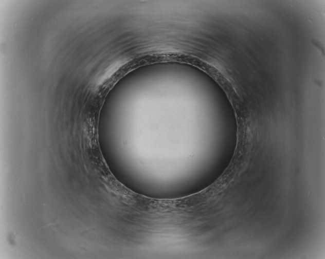 X0000102220871200808011200