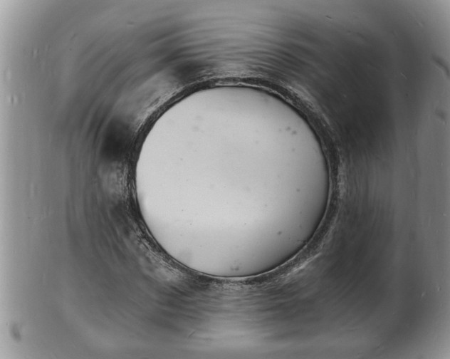 X0000102220873200808011200