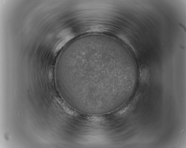 X0000102220874200808011200