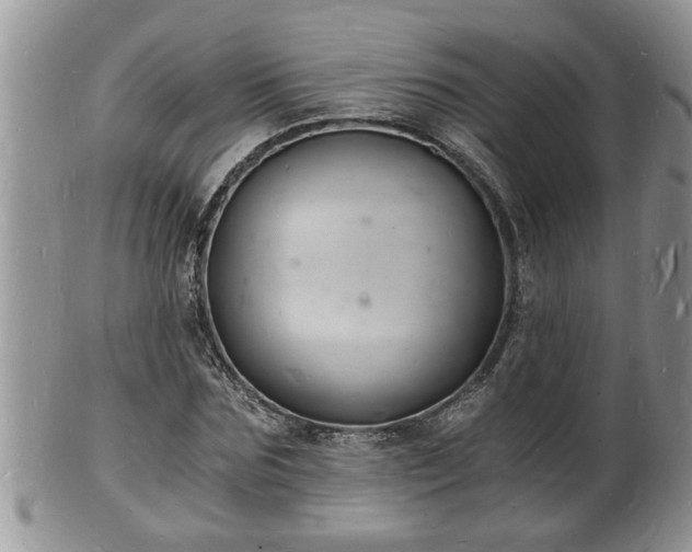 X0000102220875200808011200