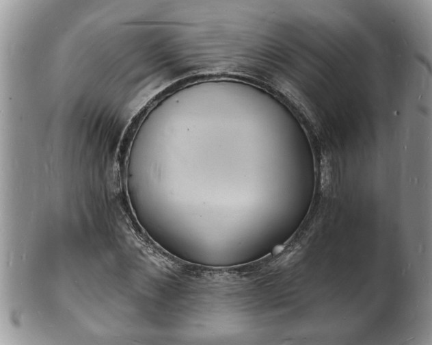 X0000102220876200808011200